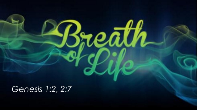 bible verse about life breath