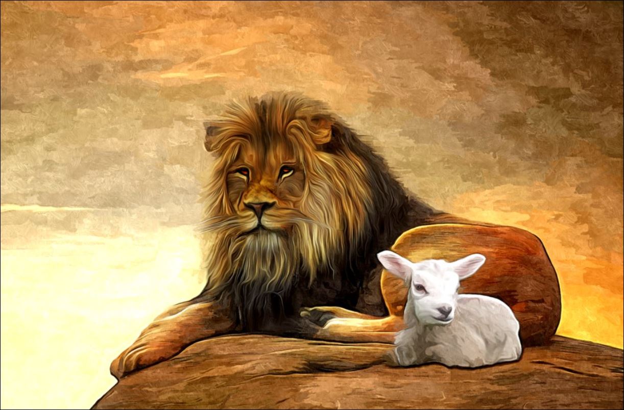 Little Drops of Water Jesus Lion and Lamb